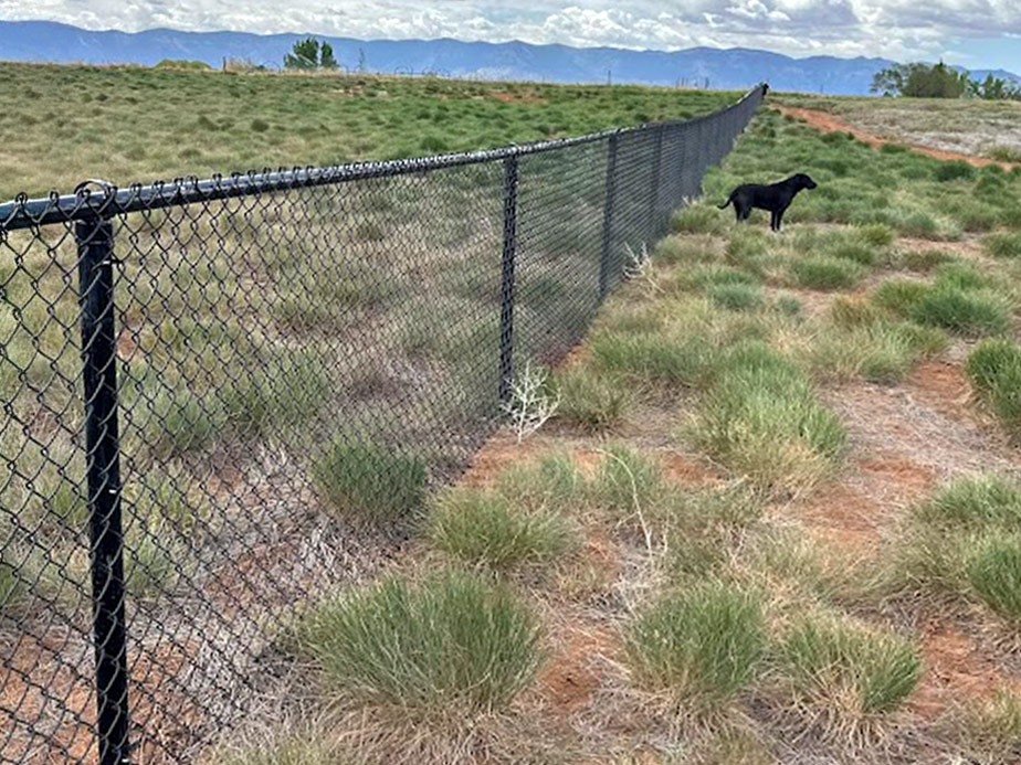 chain link fence Gem Village Colorado